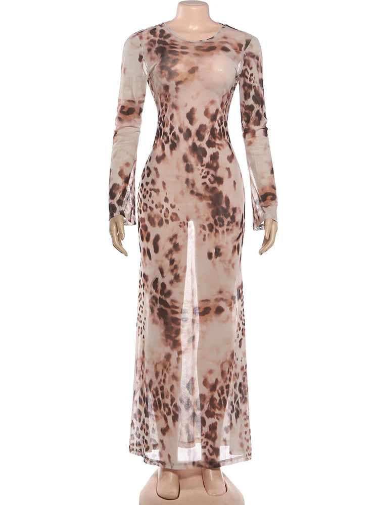 Sexy See Through Long Dress