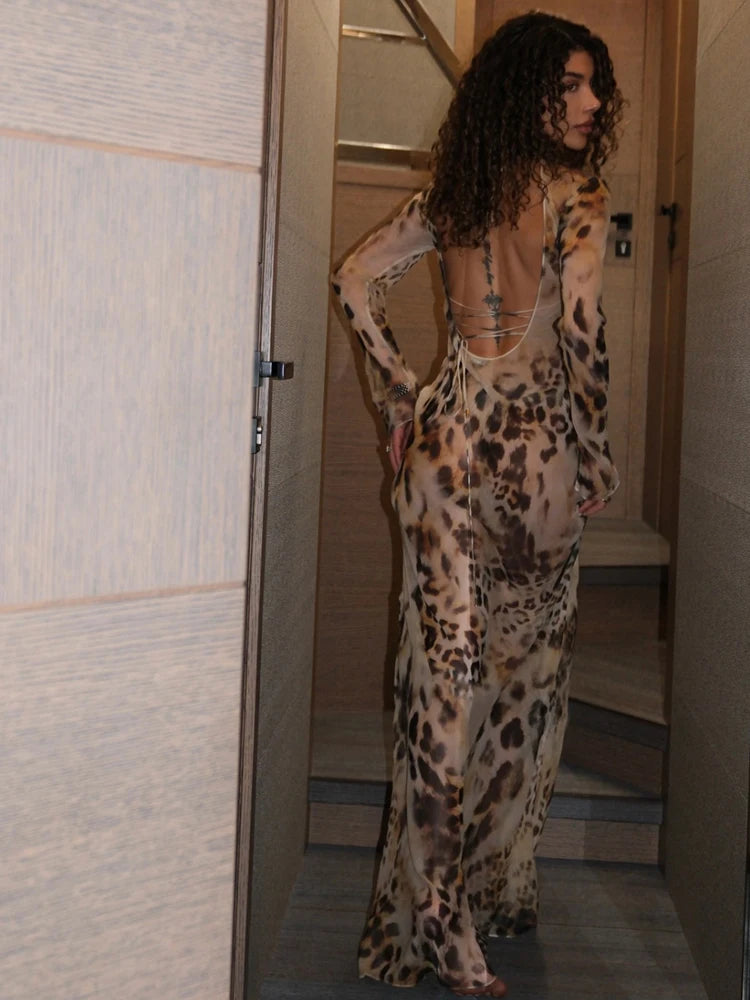 Sexy See Through Long Dress