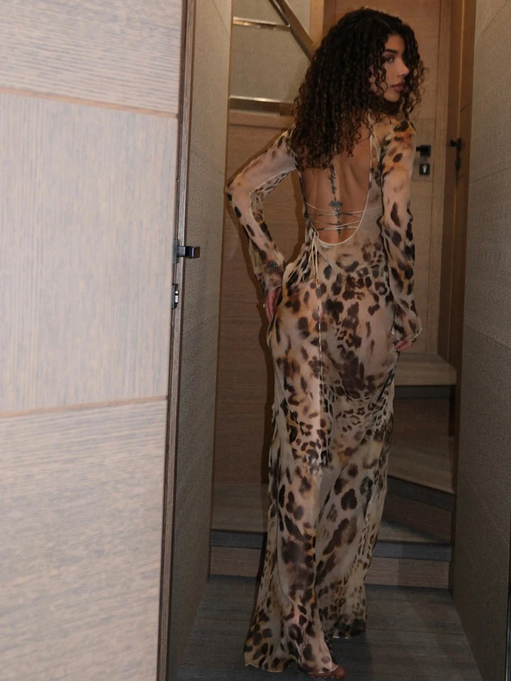 Sexy See Through Long Dress